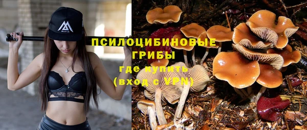 мяу мяу мука Баксан