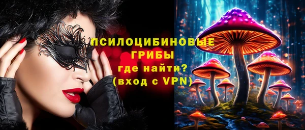 гидра Балахна