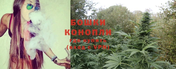 мяу мяу мука Баксан