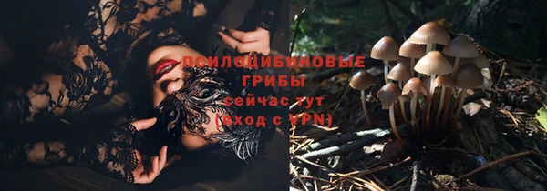гидра Балахна